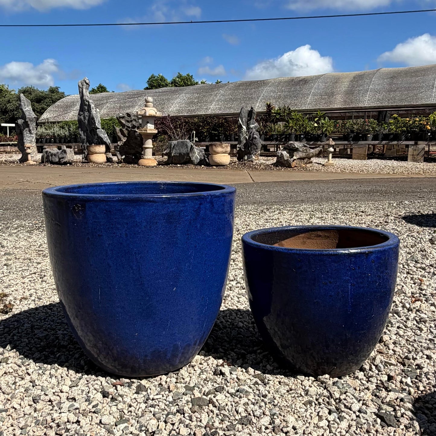 Meg Planter