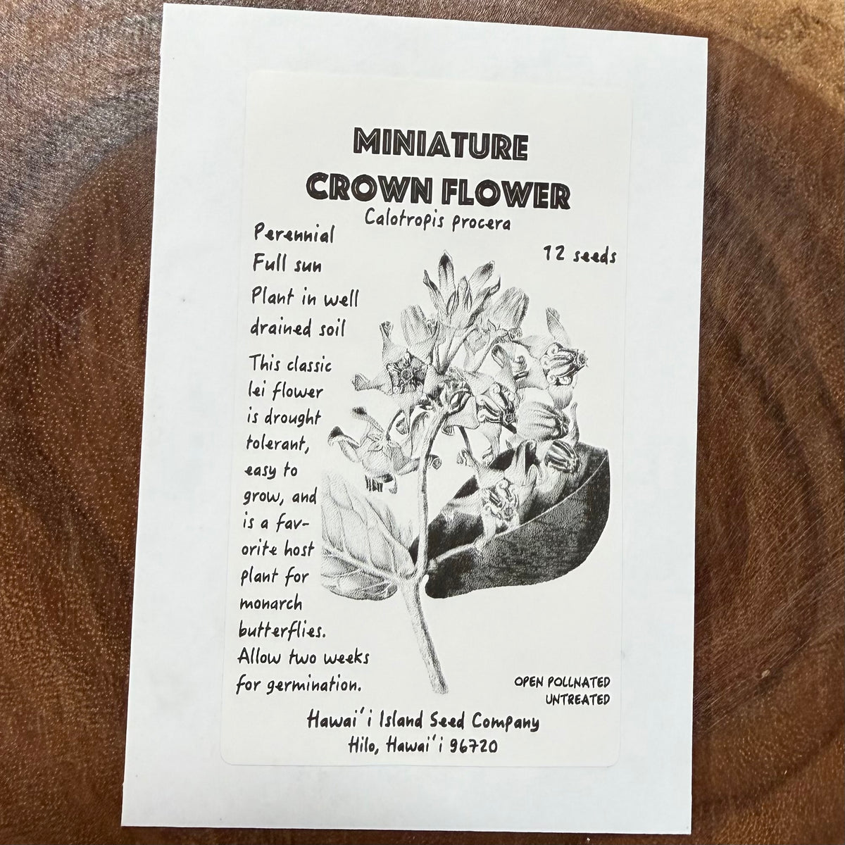 Mini Crown Flower