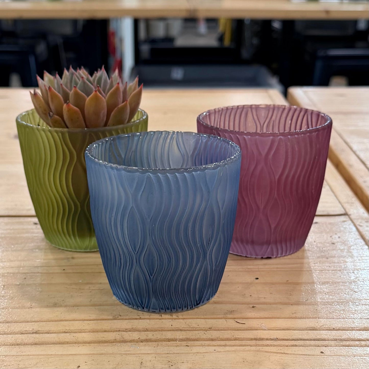 Mira Glass Cache Pot