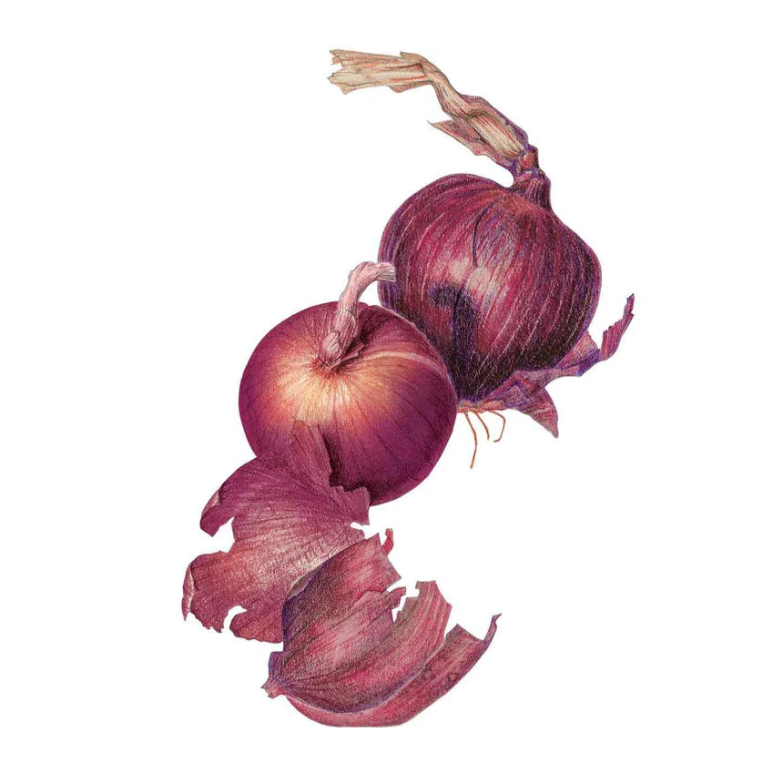 Monastrell Bulb Onion