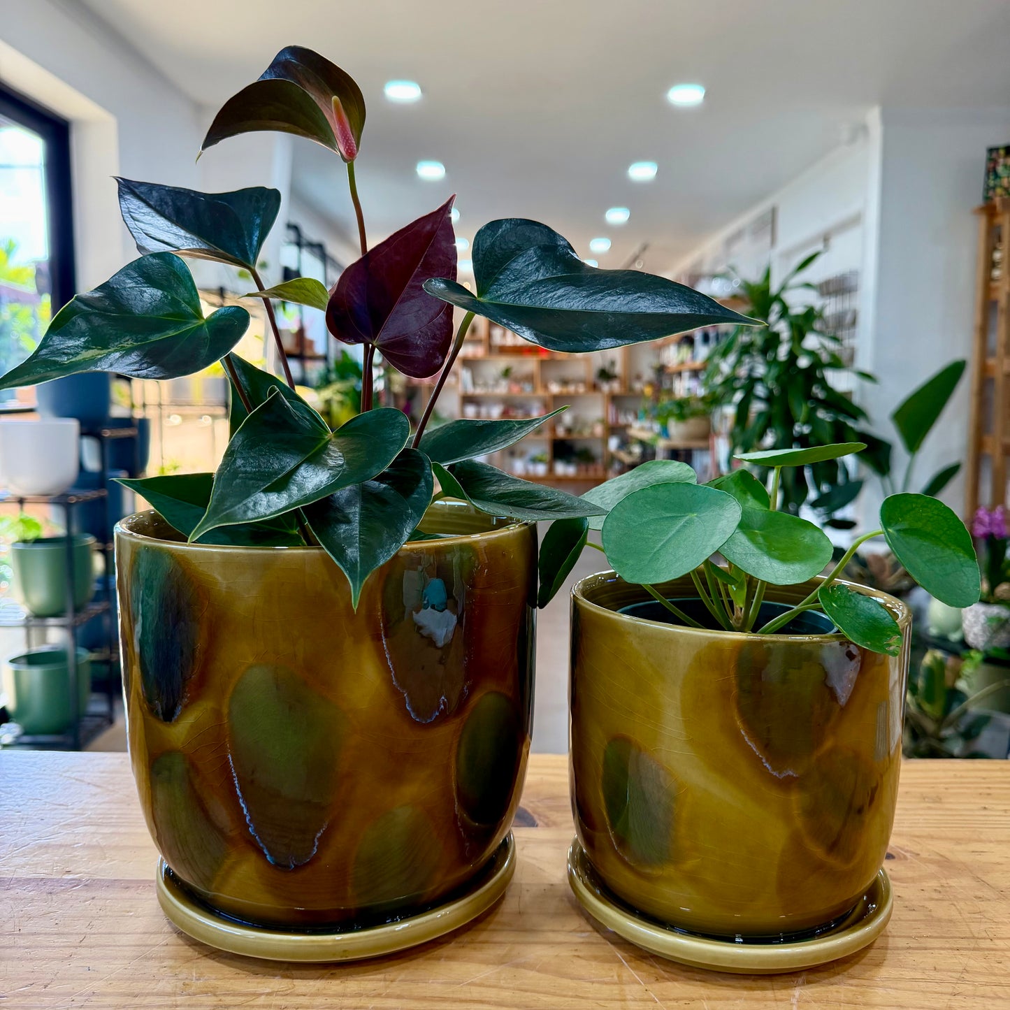 Moreno Planter