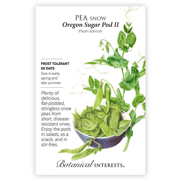 Pea Snow seeds, "Oregon Sugar Pod"