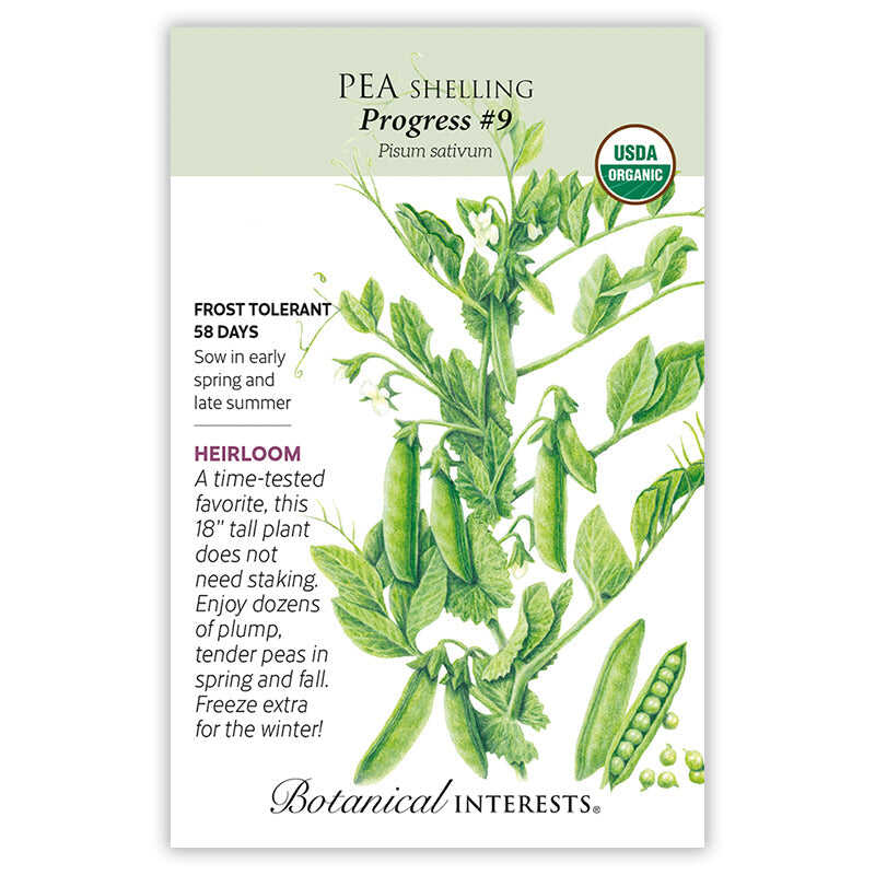 Pea seeds ʻShelling Progress 9ʻ