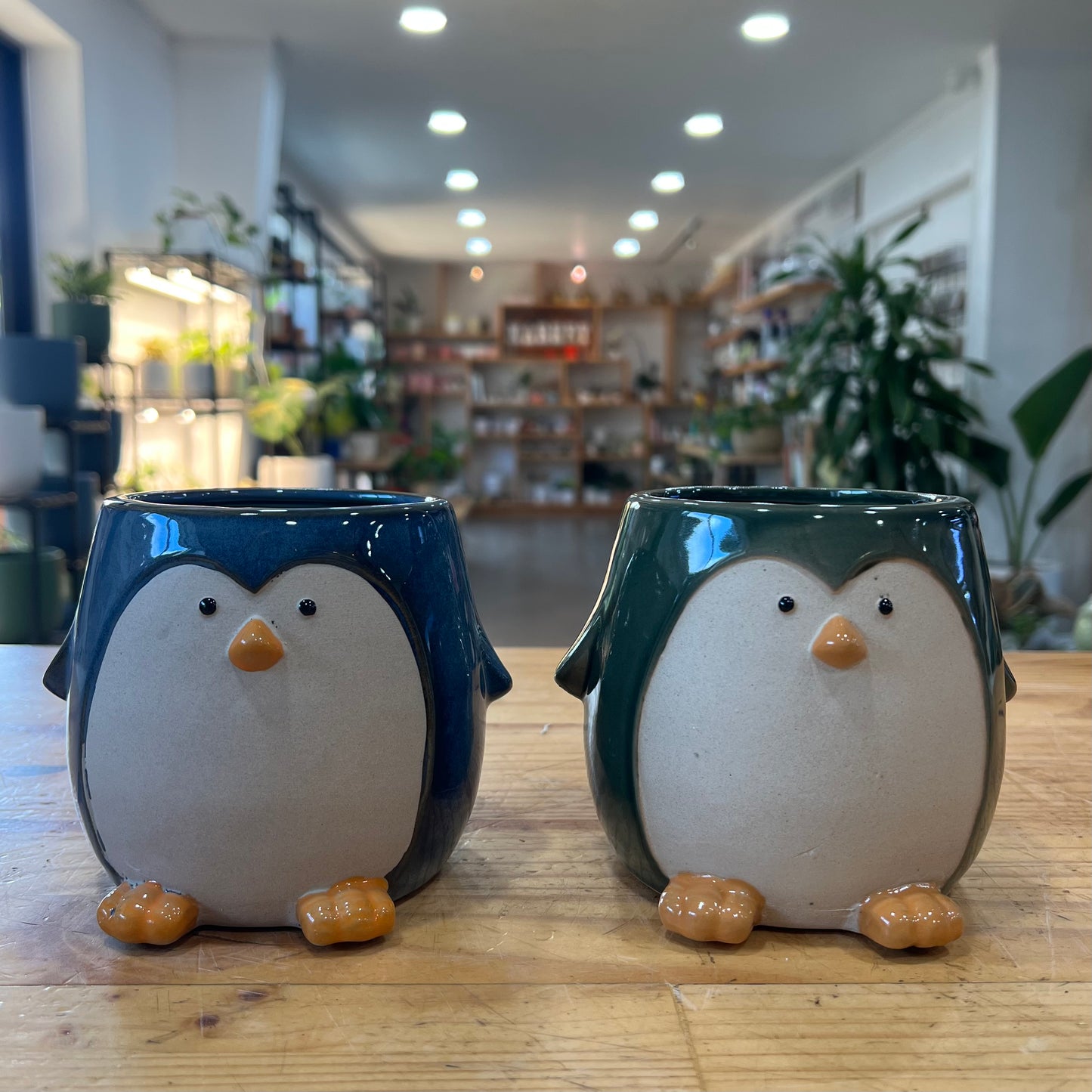 6" Penguin Planter