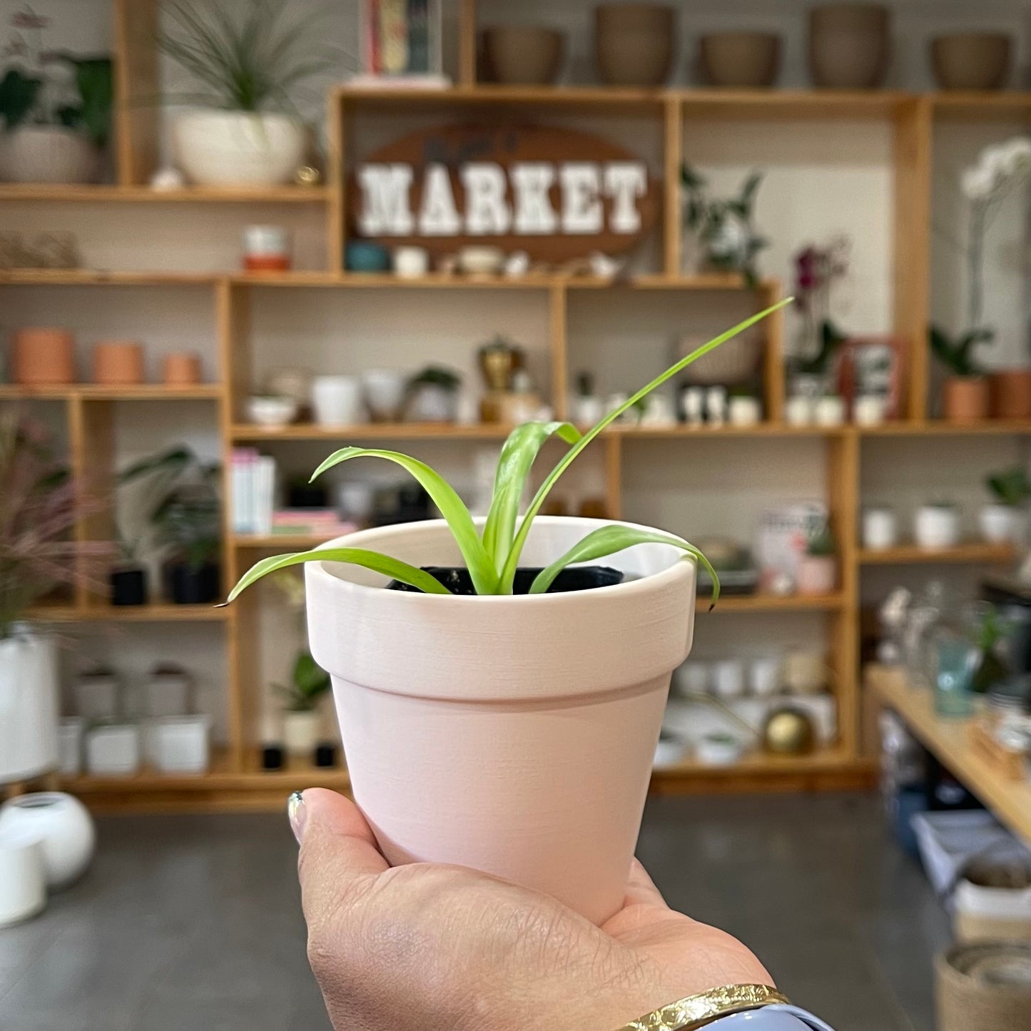 Pink Terracotta Planter, 3"