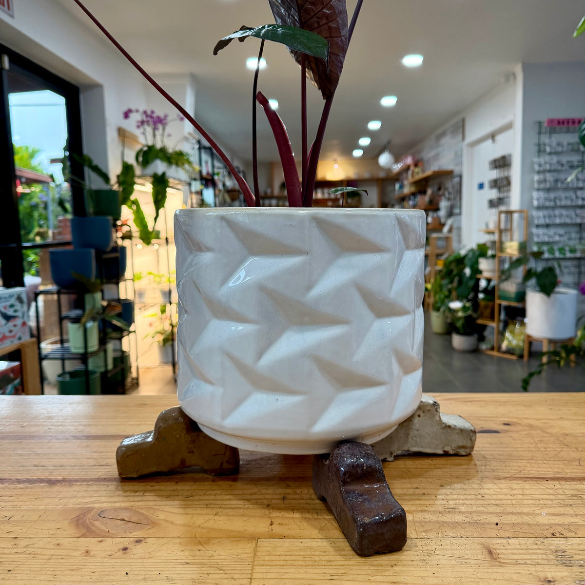 Ceramic Risers