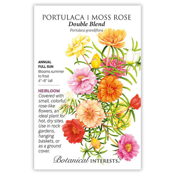 Portulaca seeds, "Moss Rose Double Blend"