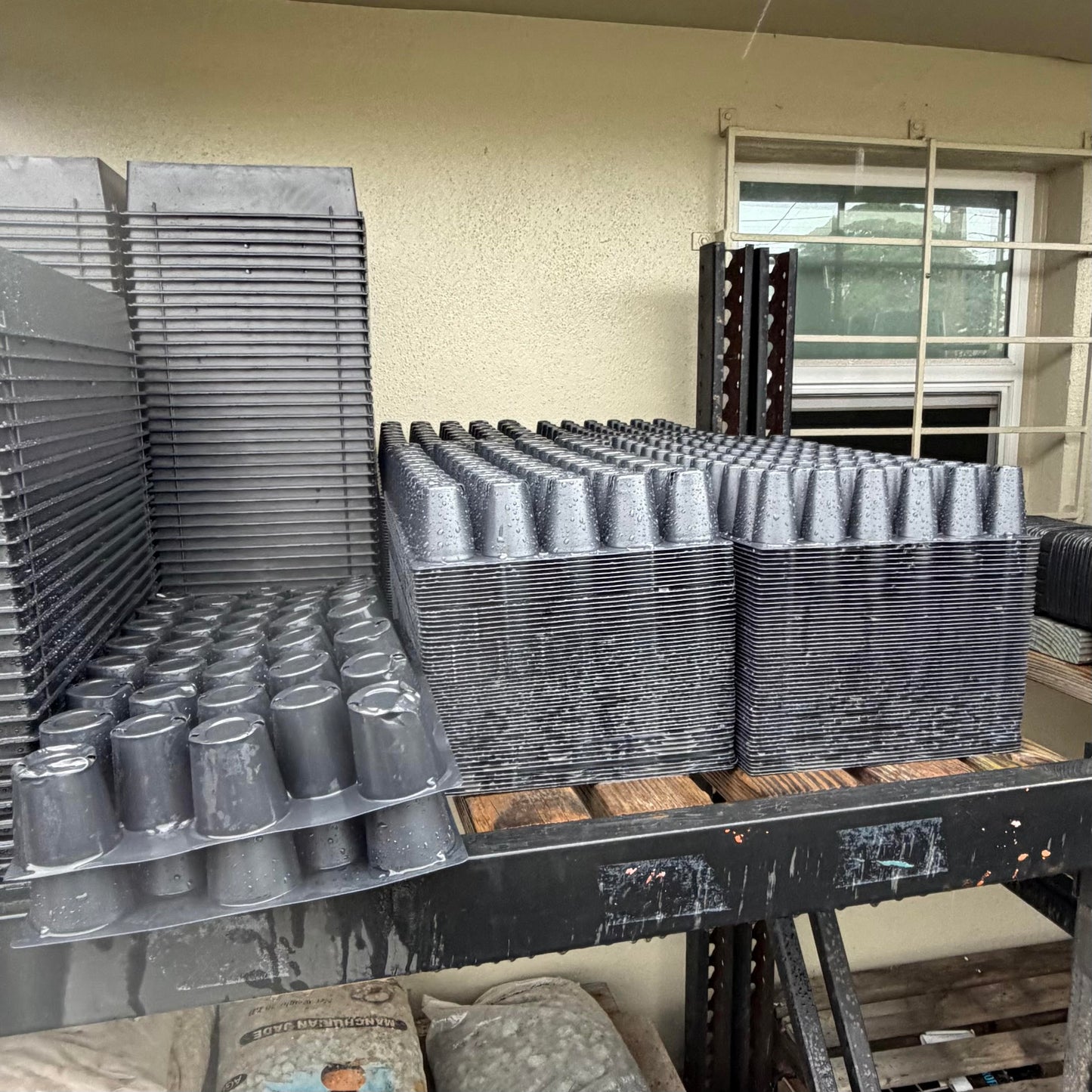 Propagation Seed Trays
