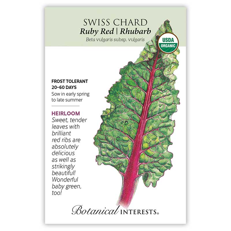 Ruby Red/Rhubarb Swiss Chard
