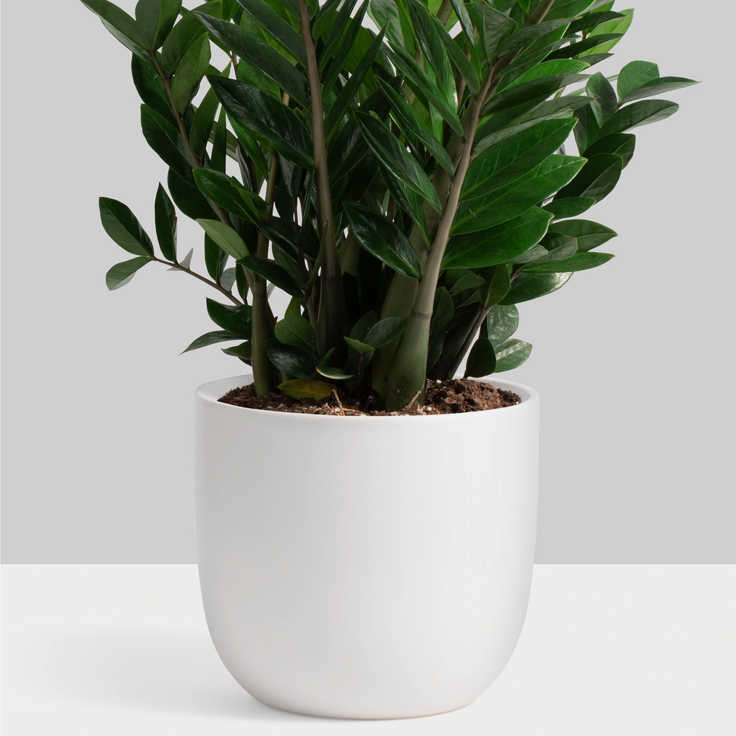 Ceramic Egg Planter