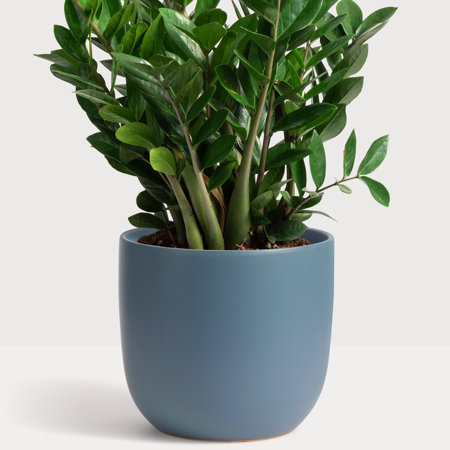Ceramic Egg Planter