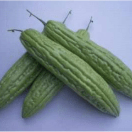 Bittermelon, Smooth Long, Seeds