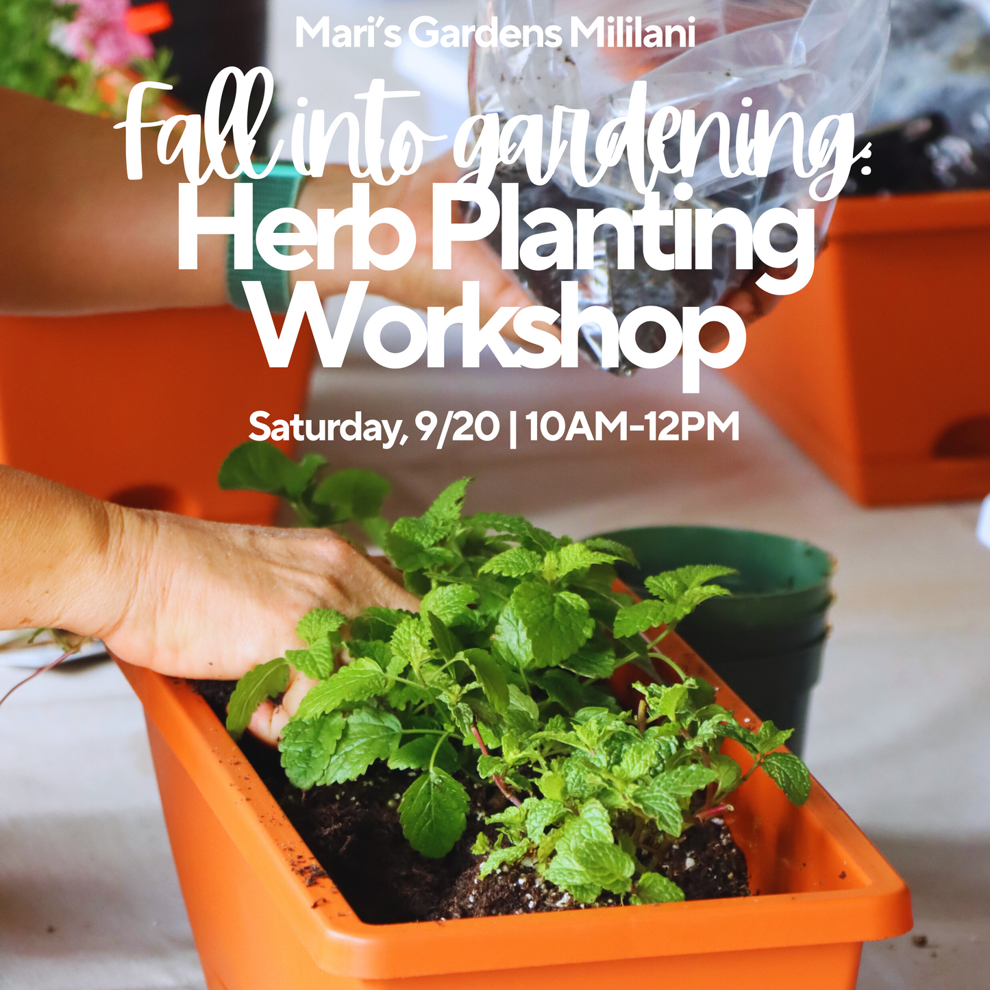 9/20 Fall into Gardening: Herb Planting Workshop (Mililani)