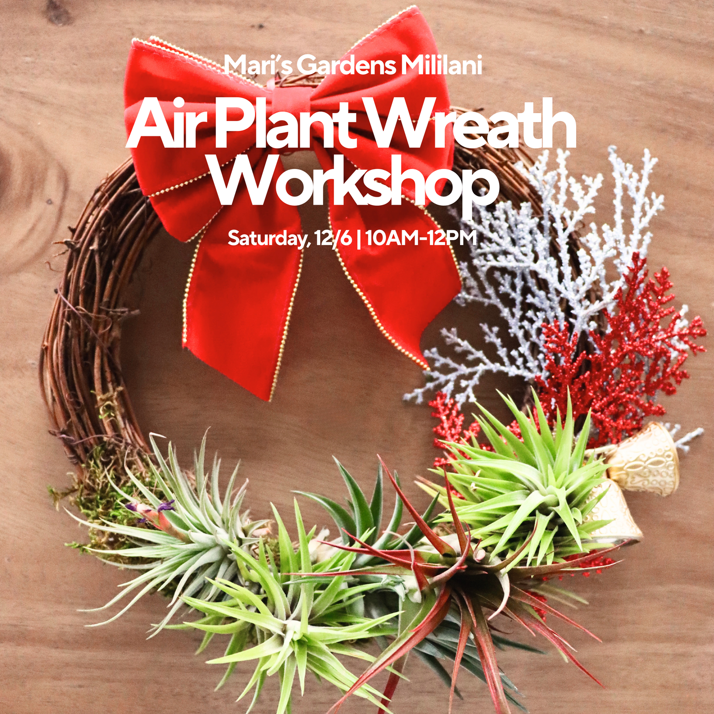 12/6 Air Plant Wreath Workshop (Mililani)