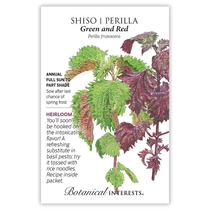 Shiso seeds 'Green and Red'