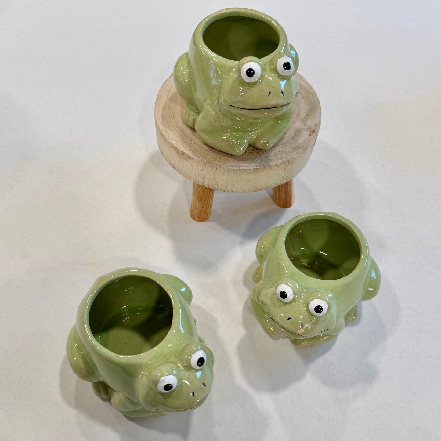 Small Frog Planter