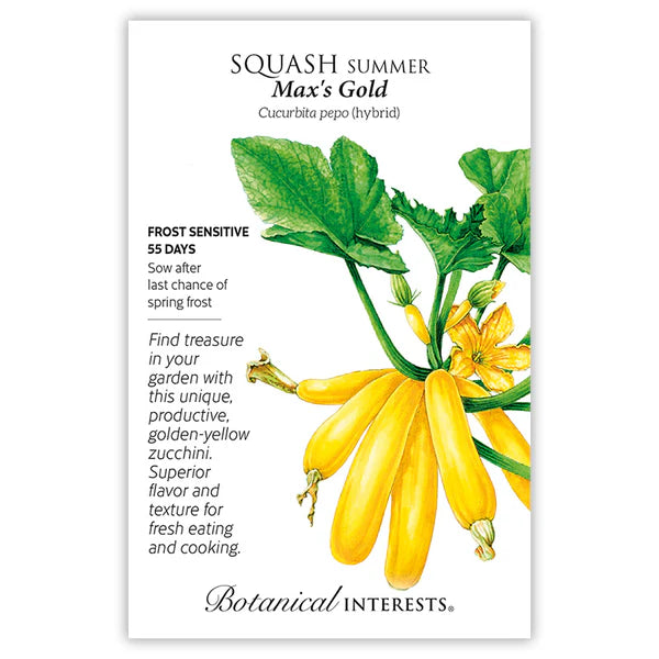 Squash Summer, "Max's Gold Hybird"