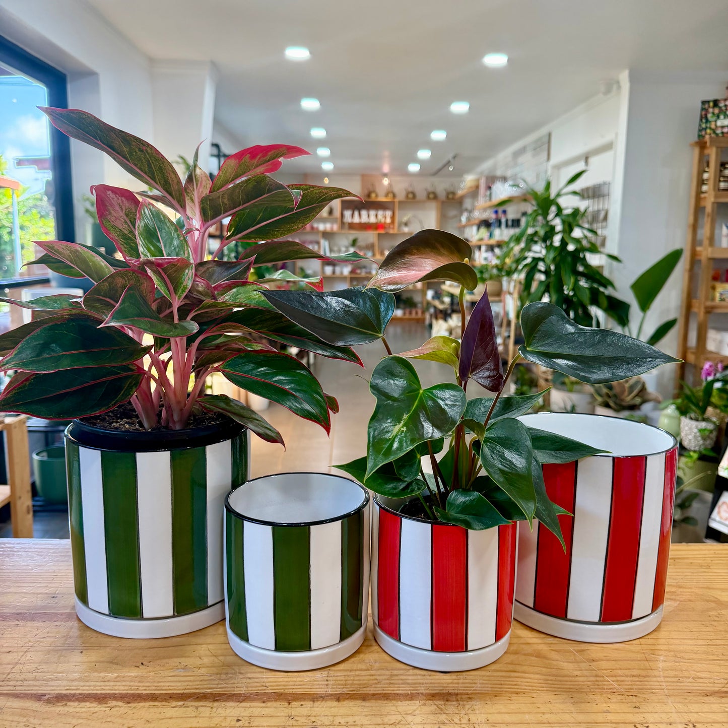 Stripe Planter