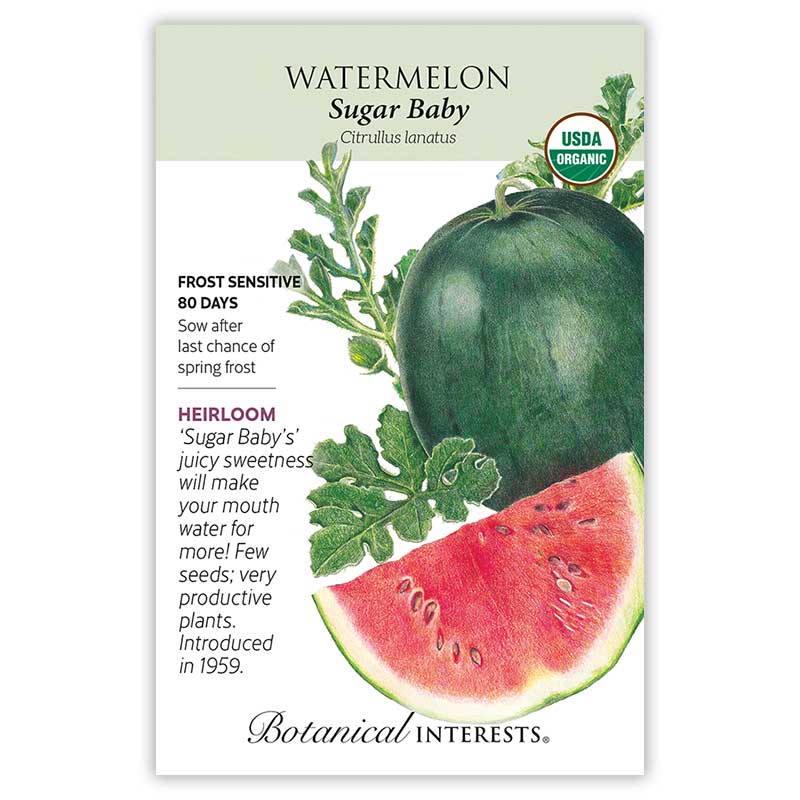 Watermelon seeds 'Sugar Baby'