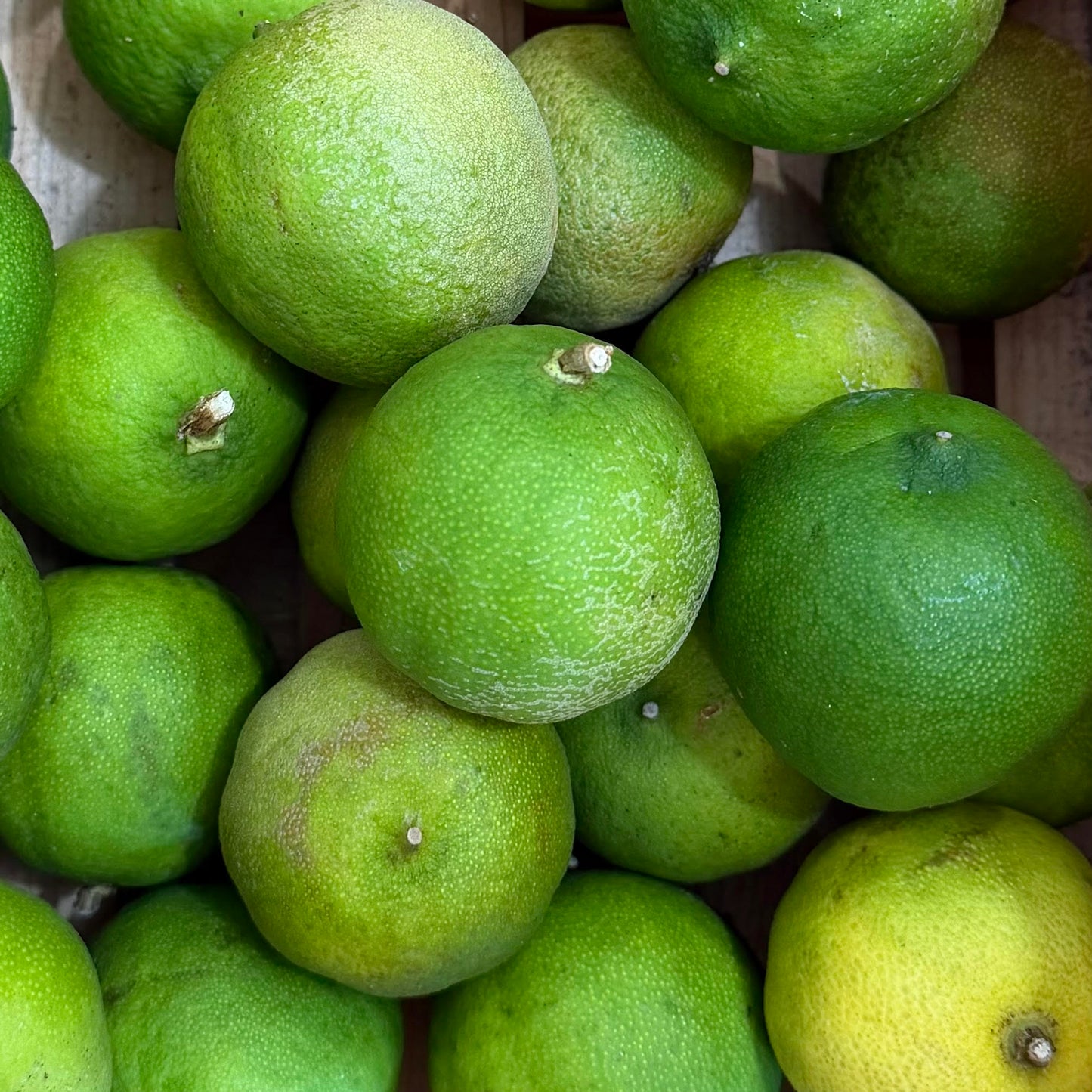 Tahitian Limes by the Pound