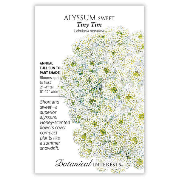 Alyssum seeds, "Sweet Tiny Tim"