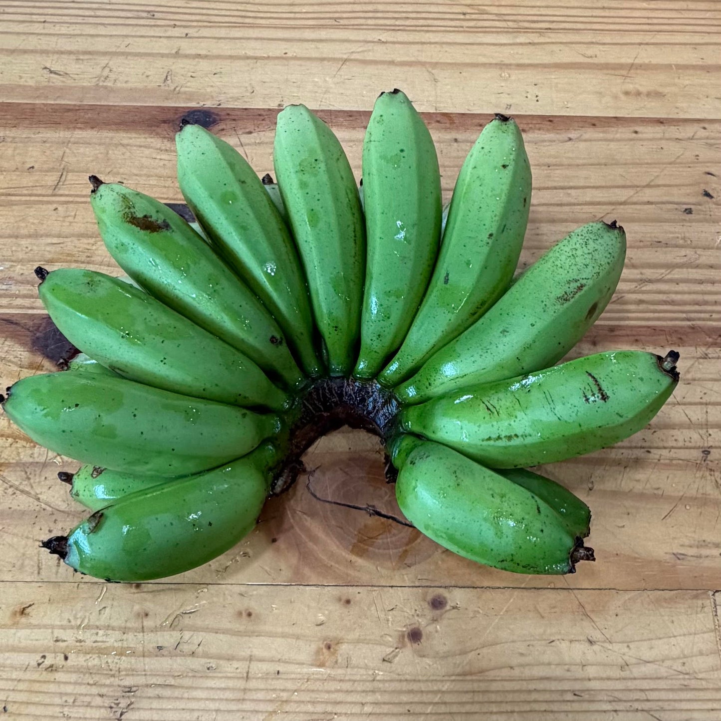 Truly Tiny Bananas by the pound