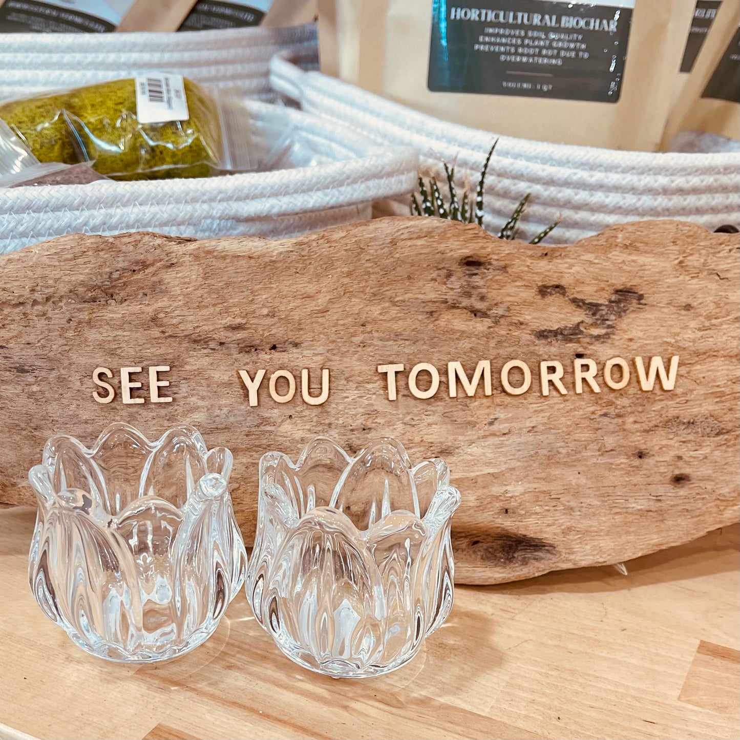 Small Glass Tulip Vase