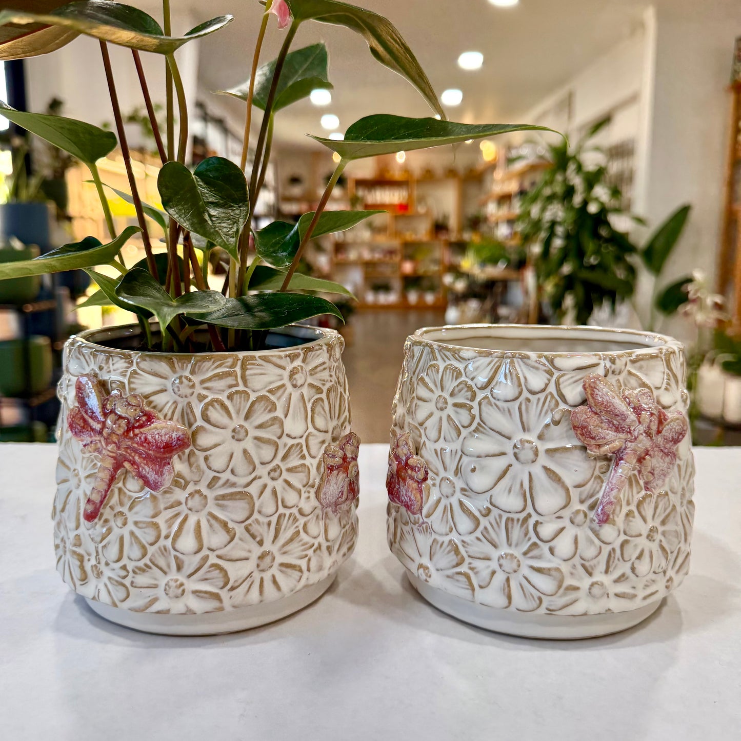 Vera Planter