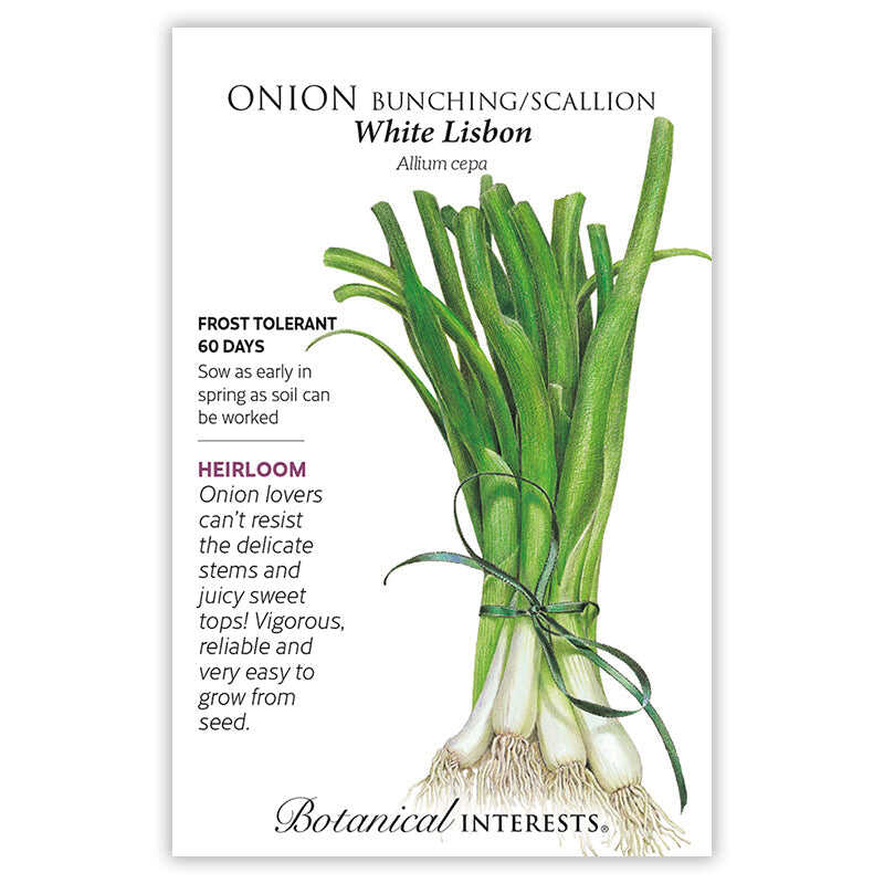Onion Bunching seeds, "White Lisbon"