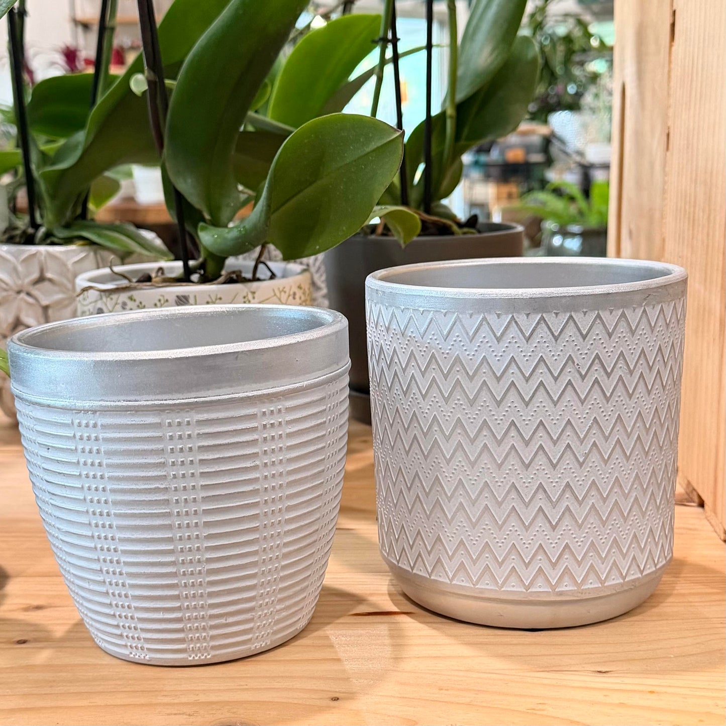 Yorkton Terra Cotta Planter