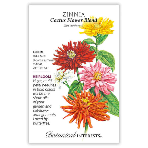 Zinnia seeds, "Cactus Flower Blend"