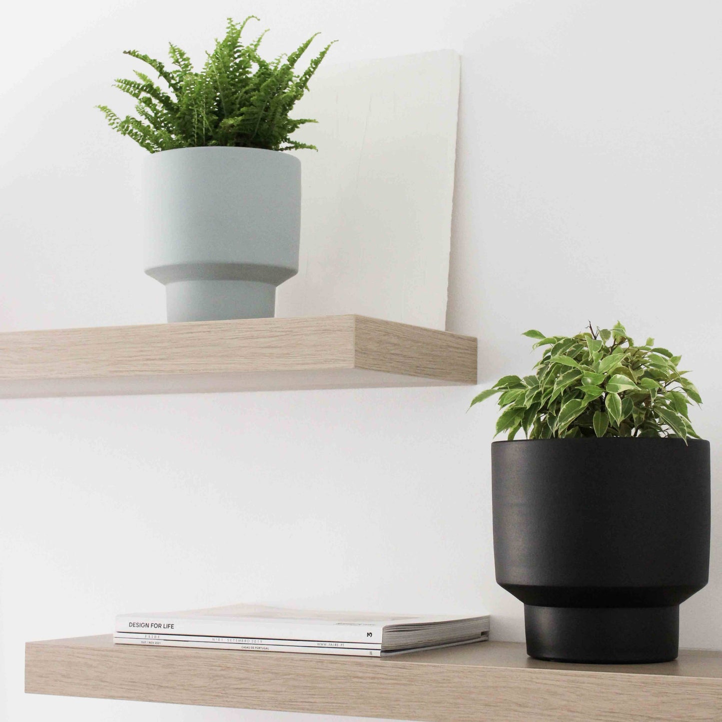 Flat Pot Collection