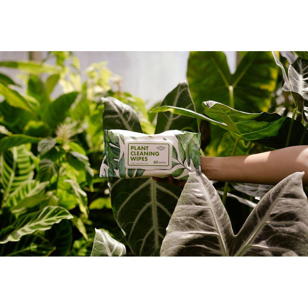 Houseplant Cleaning Wipes