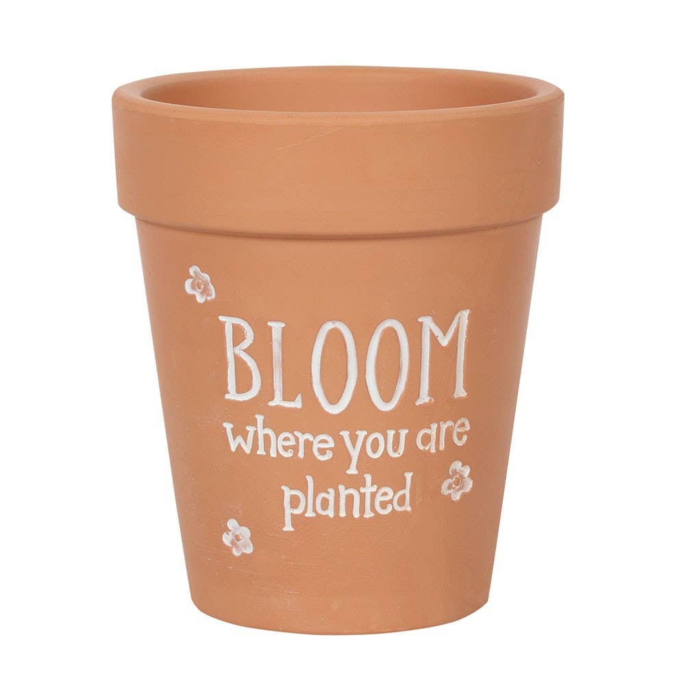 grow where you are planted pot Bloom Where You Are Planted Plant Pot