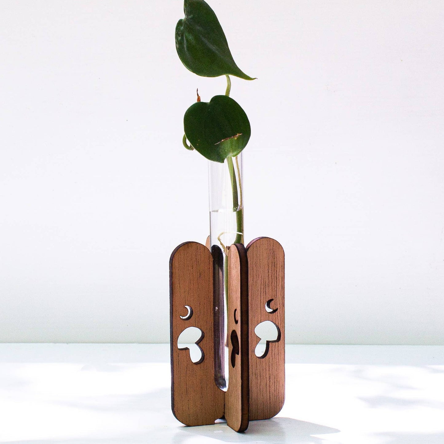 Mushroom Tabletop Propagation Station