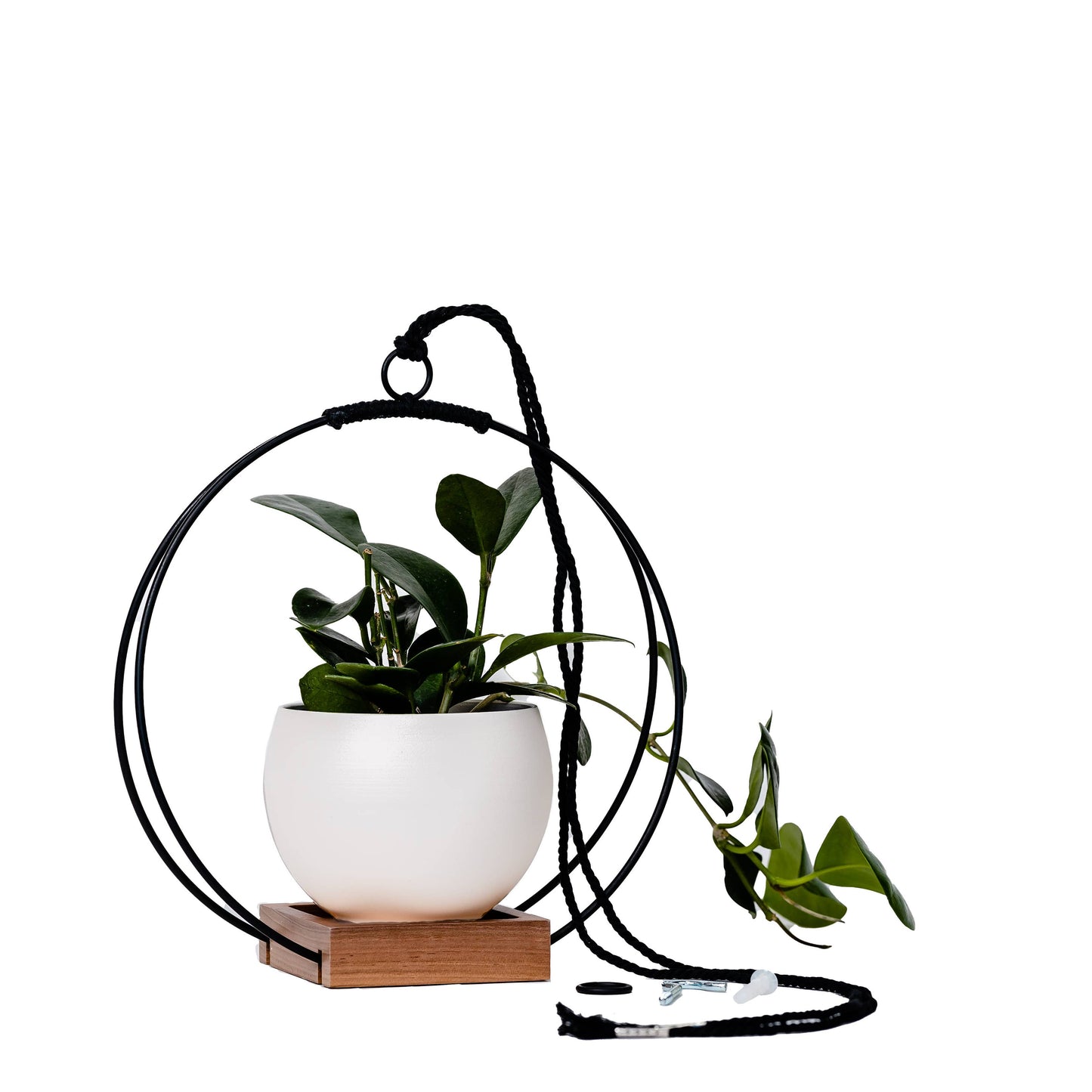 Braid & Wood Plant Hanger