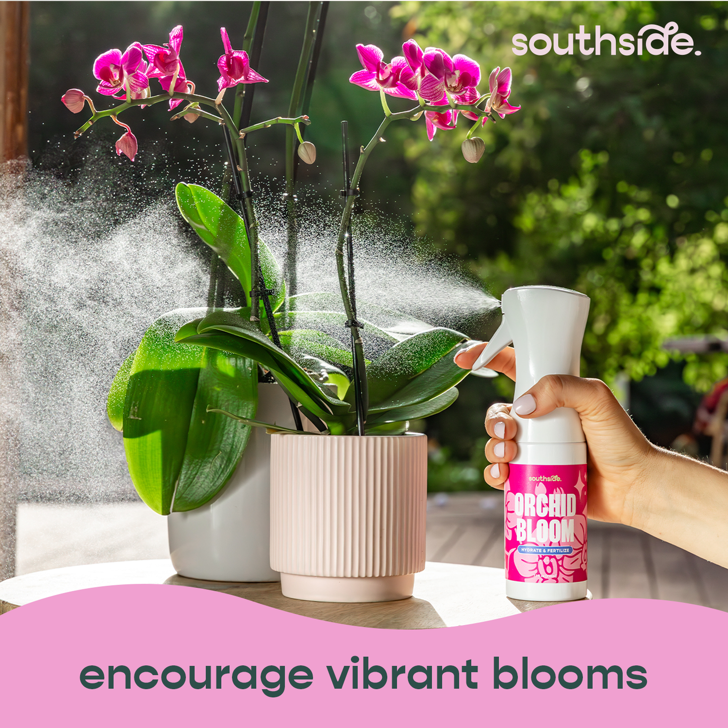 Orchid Grow and Bloom Sprays