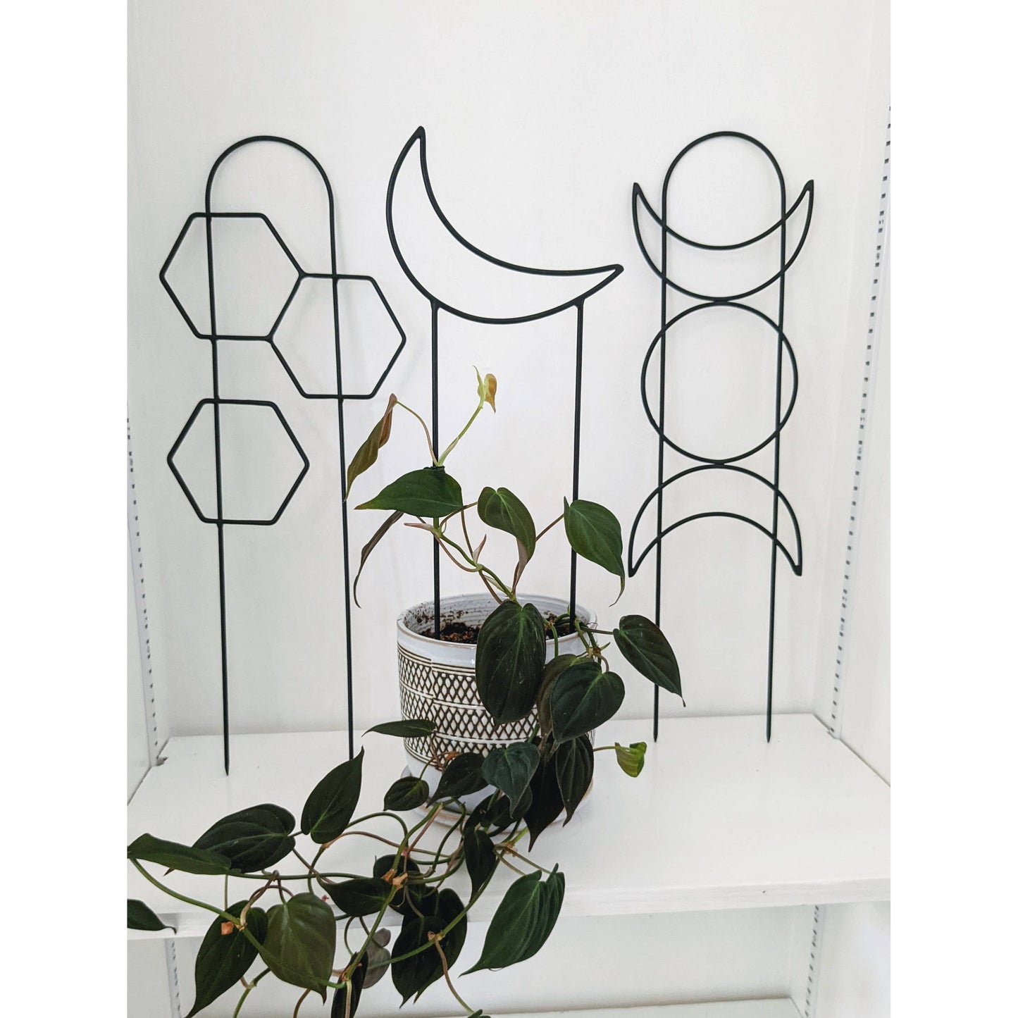 Metal Crescent Moon Trellis