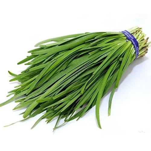 Chives, Chinese Broadleaf, Seeds