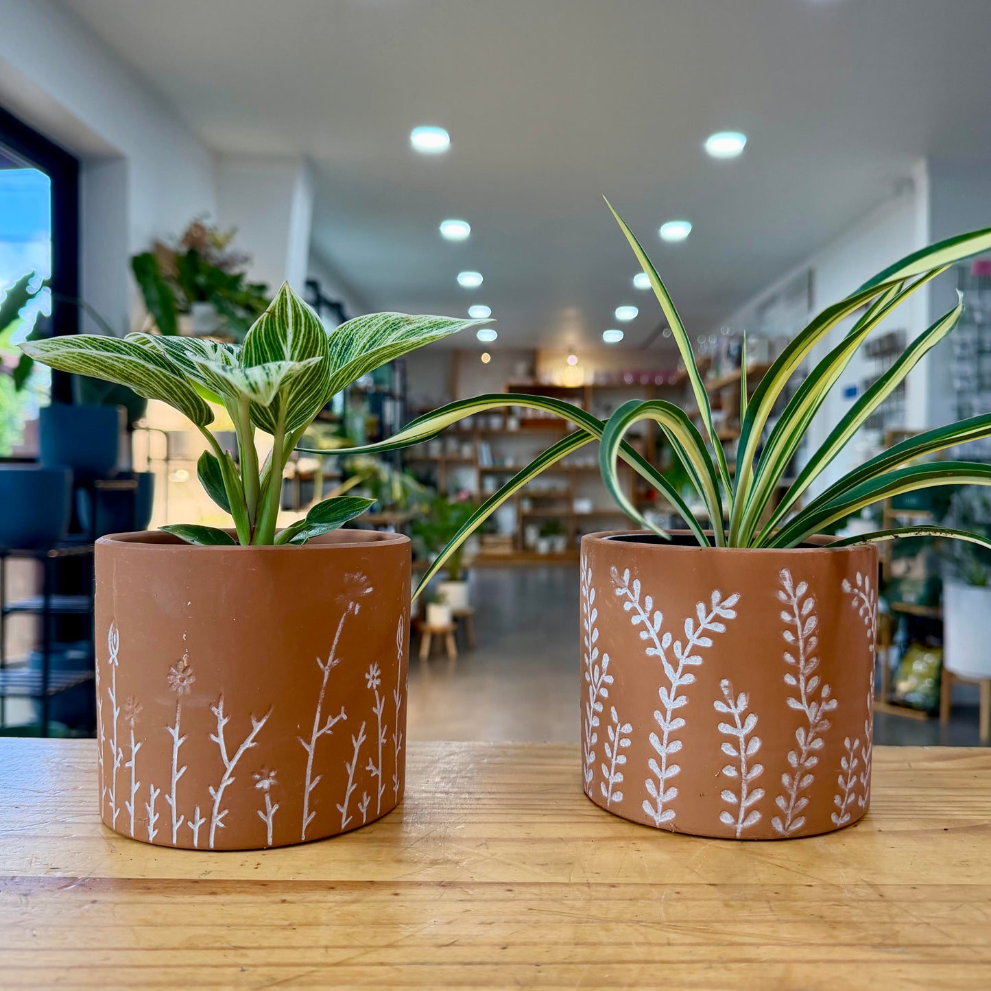 5" Wildflower Cylinder Planter