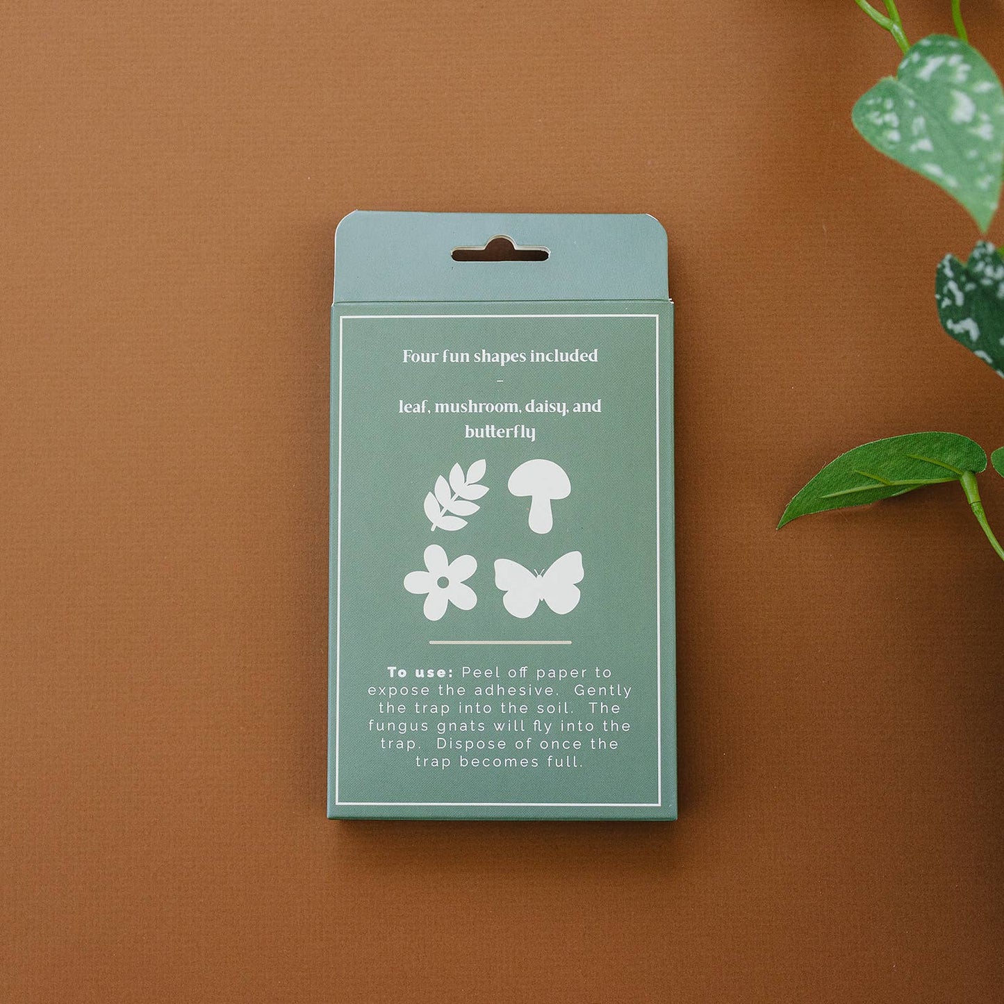 Sticky Gnat Traps (Box)