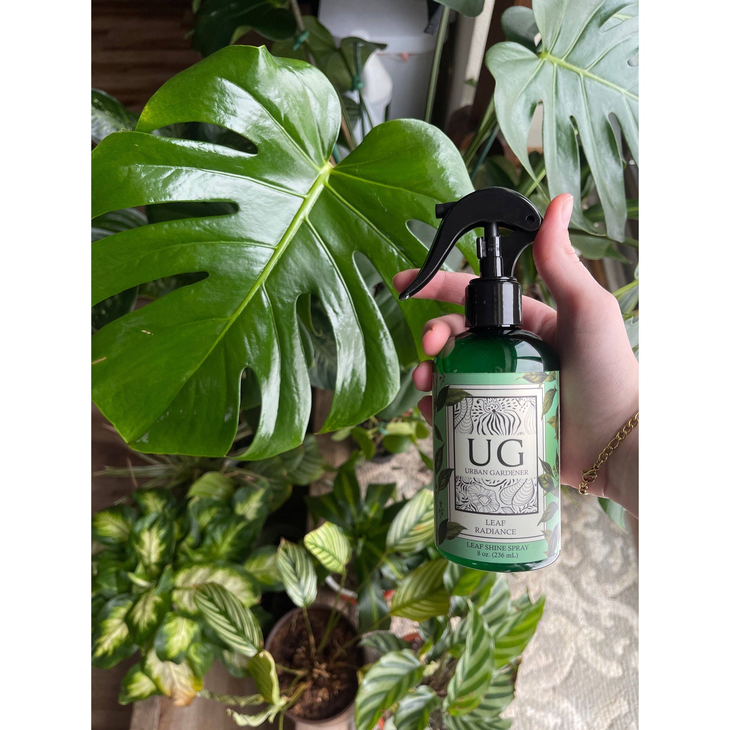 Leaf Radiance - Natural Houseplant Cleaner & Shine