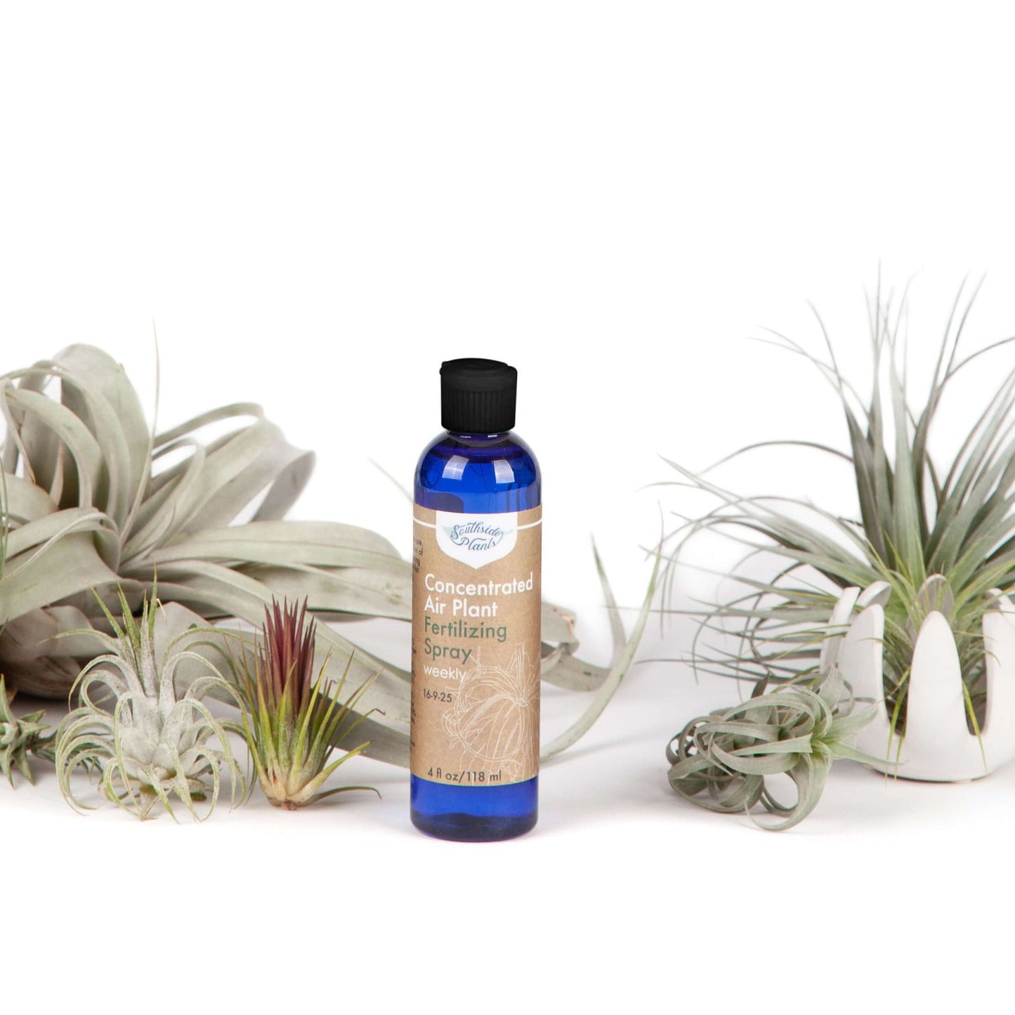 Air Plant Weekly Fertilizing Spray Concentrate