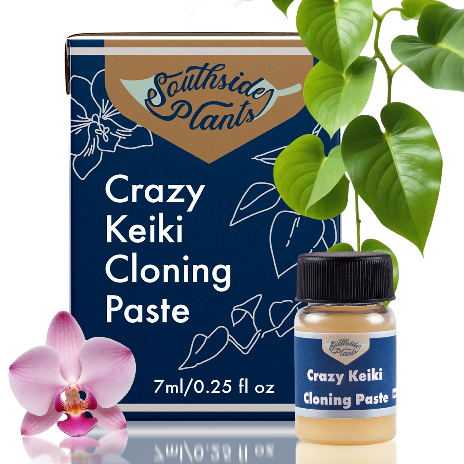 crazy keiki cloning paste pothos Crazy Keiki Cloning Paste – Mari's Gardens