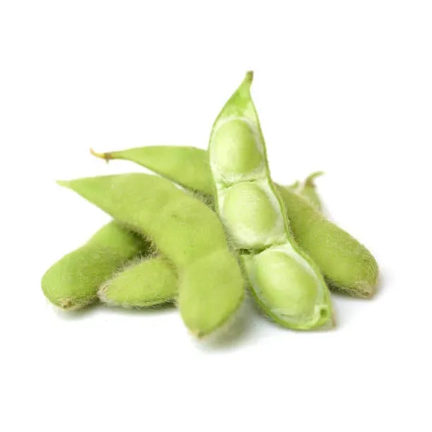 Bean, Soy Edamame, Seeds