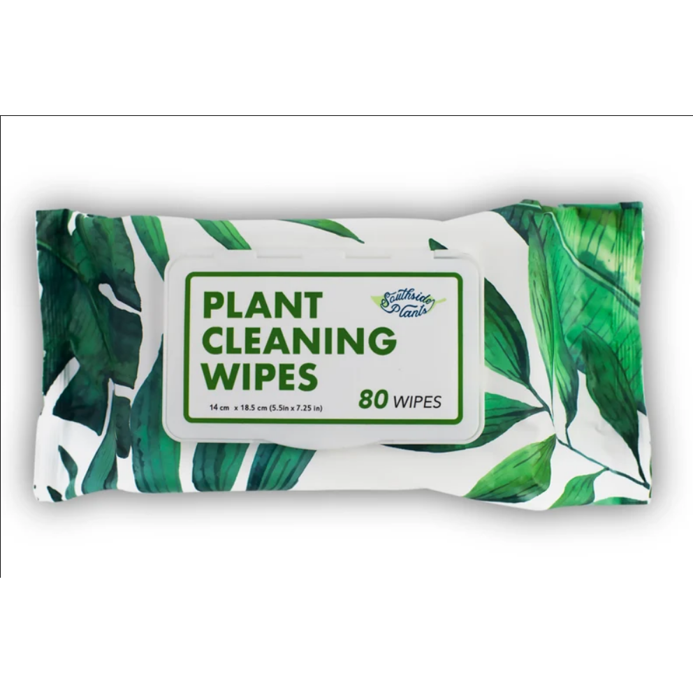 Houseplant Cleaning Wipes