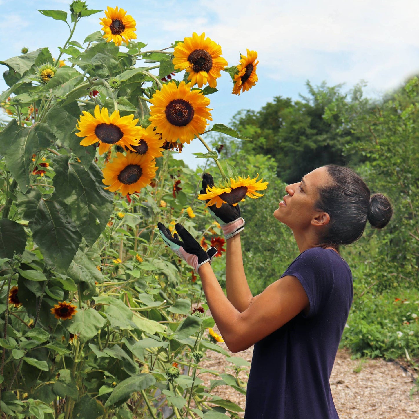 High Performance Garden and Work Glove