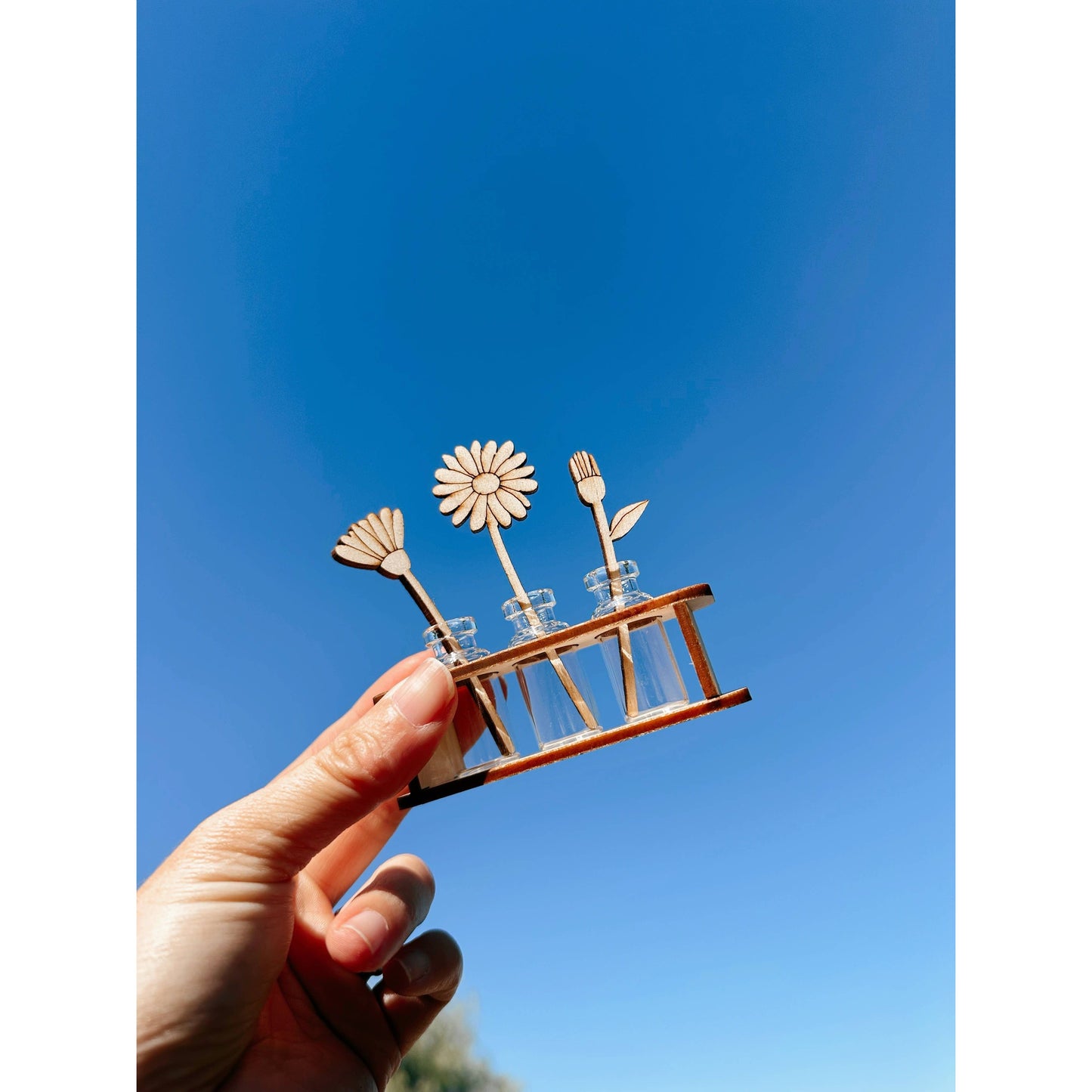 Tiny Plant Propagation Leaf Diffusers