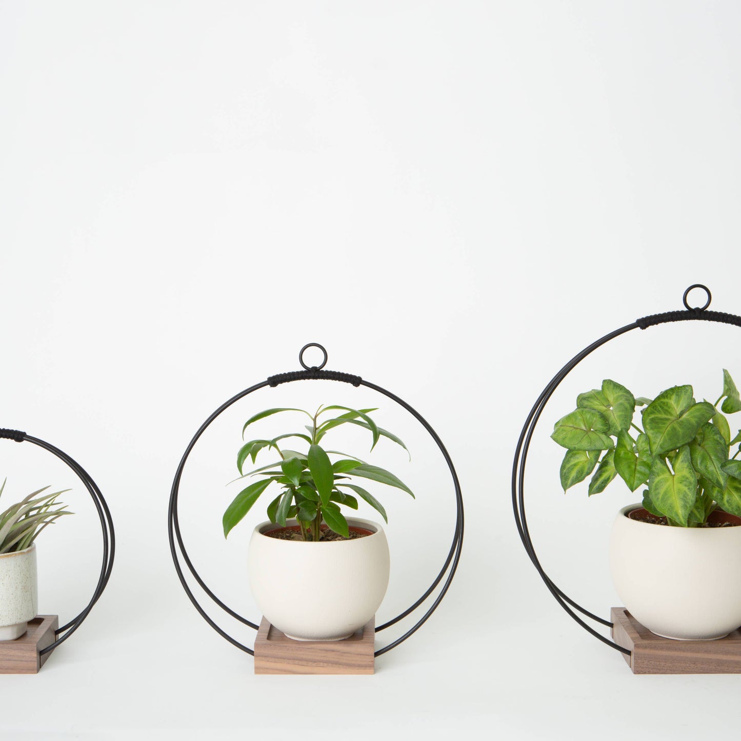 Braid & Wood Plant Hanger