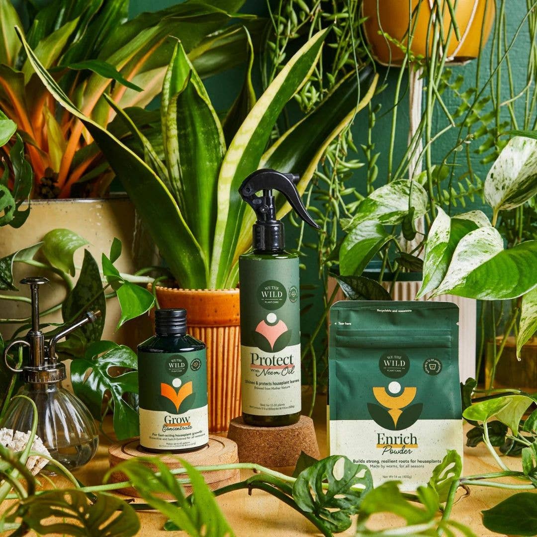 Houseplant Care Essential Kit